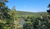 Trail Walking Chiny - chiny 19-09-2024 - Photo 11