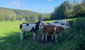 Randonnée  Ferrières - Ferme de palogne final - Photo 11