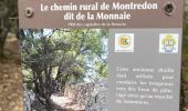 Trail Walking Saussines - Saussines Les Capitelles de la Benovie - Photo 13