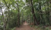 Tour Wandern Combrit - Bois de Rescoure. Pont l'abbé. 15/07/20. - Photo 7