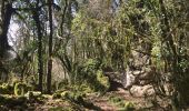 Tocht Stappen Lauroux - Cirque de Labeil - Lauroux-Labeil - Photo 16