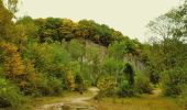 Trail Walking Cerfontaine - Senzeilles- Promenade de Beau Château  - Photo 4