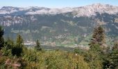 Tocht Stappen Manigod - ARAVIS: PLATEAU DE BEAUREGARD - Photo 6