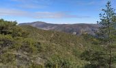 Trail Walking Saillans - saillans serre peyplat col de sauzet - Photo 2