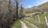 Tour Wandern Saint-Jeoire-Prieuré - mt st michel par boisserette - Photo 8
