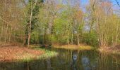 Tour Wandern Rethondes - en forêt de Laigue_1_le Grand Octogone - Photo 15