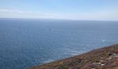 Trail Walking Crozon - Cap de la Chevre  - Photo 14