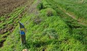 Trail Walking Chauffour-lès-Étréchy - Chauffour-lès-Etréchy Coteau des Verts Galants - Photo 10