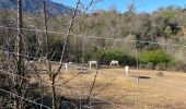 Excursión Senderismo Los Masos - Los Masos Lionat - Photo 4