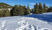 Randonnée Raquettes à neige Gréolières - GREOLIERES - Photo 8