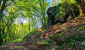 Trail Walking Beauraing - Balade dans la forêt de Felenne-Beauraing - Photo 5