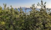 Tocht Stappen Marseille - Marseille-Callelongue : Cols de la Galinette et de la Selle-Grand Malvallon-Calanques Marseille Veyre et de la Mounine - Photo 7