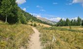 Excursión Bici de montaña Vars - lac de peyrol ,col de vars,crête de la maït,retour ST marcellin - Photo 4