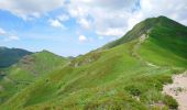 Randonnée Marche Lavigerie - Cantal - La Gravière - Les Fours de Peyre-Arse - 18.9km 760m 8h05 (30mn) - 2019 07 04 - Photo 5