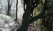 Trail Walking Biriatou - biriatou chemin de la foret - Photo 2