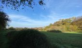 Tour Wandern Yvoir - Entre Meuse et Bocq, départ de Mont - Photo 1