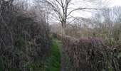 Randonnée Marche Dalhem - dalhem 4 - Photo 6