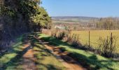 Trail Walking Griscourt - circuit des moulins - Photo 3