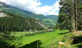 Trail On foot Gemeinde Wald im Pinzgau - Wanderweg 24 - Photo 3