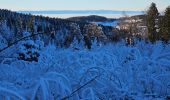 Trail Cross-country skiing Thélis-la-Combe - ski alternatif - Photo 3