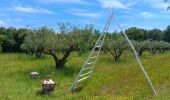 Tour Wandern Saint-Bonnet-du-Gard - mon 8 du pont du Gard  - Photo 11