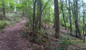 Trail Walking Aywaille - dieupart . embleve . thier bosset . kin . henoumont . vieux jardin . dieupart  - Photo 5