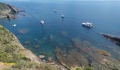 Trail Walking Port-Vendres - sentier du littoral Catalan - Photo 14