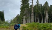 Tour Wandern Manhay - Oster -Manhay - Photo 4