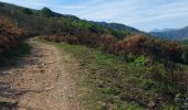 Tour Wandern Biriatou - AR Biriatou - col d'Ibardin  - Photo 2