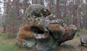 Excursión Senderismo Fontainebleau - Bas Breau  - Photo 1