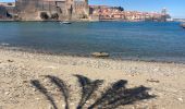 Percorso Marcia Port-Vendres - Port Vendres Collioure sur les hauteurs et la côte  - Photo 7