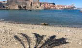 Tocht Stappen Port-Vendres - Port Vendres Collioure sur les hauteurs et la côte  - Photo 7