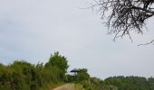 Trail Walking Manhay - 2021-06-30_10h29m50_Cirkwi-BOIS_DE_HARRE_(Commune_de_MANHAY) - Photo 9