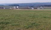 Tour Wandern Libin - Redû 160421 - Photo 3