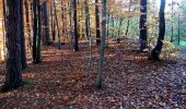 Percorso A piedi Deutschlandsberg - Weinberg-Rundweg - Photo 4