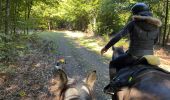 Trail Horseback riding Habay - Marbehan 9 octobre 2022e - Photo 8