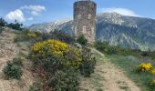 Excursión Senderismo Vernet-les-Bains - Col de Jou - Photo 8