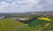 Tour Wandern Amfreville-sous-les-Monts - 20190427-Amfreville sous les Monts Version Benjamin - Photo 2