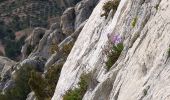 Trail Walking Vauvenargues - La Croix de Provence - Photo 9