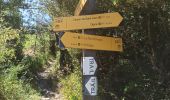 Trail Walking Entrages - Antrages-Le Cousson-les hautes bâties-Antrages - Photo 5