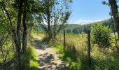Trail Walking Steinfort - Steinfort  12,5 km  - Photo 7