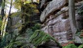 Tour Wandern Berdorf - Les colonnes rocheuses de Berdorf - Photo 2