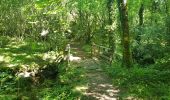 Trail Walking Caden - PR_56_Caden_AA_01_Le-Grand-Val_Circuit1b_20200524 - Photo 6