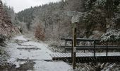 Excursión Senderismo Waimes - Sur les traces de l'ultratrail 🥾 - Photo 13