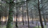 Trail Walking Bouillon - Rochehaut 110124 - Photo 9