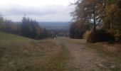 Trail Walking Spa - piste de ski . croix du colonel . croix potier . monument R.A.F . ferme berinzenne  - Photo 12