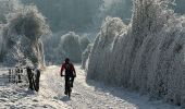 Tocht Mountainbike Aarlen - 7 - Photo 3