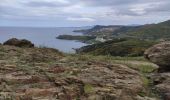 Randonnée Marche Banyuls-sur-Mer - banyuls cap rederis - Photo 1