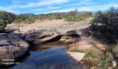 Trail Walking Le Muy - 20230312 Palayson  les plaines - Photo 5