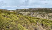 Trail Walking Vialas - Vialas tour du Rocher de Treize - Photo 5